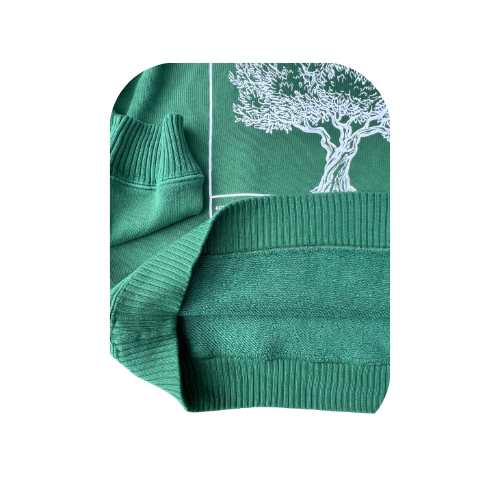 Trust in Jesus 100% Organic Cotton hoodie