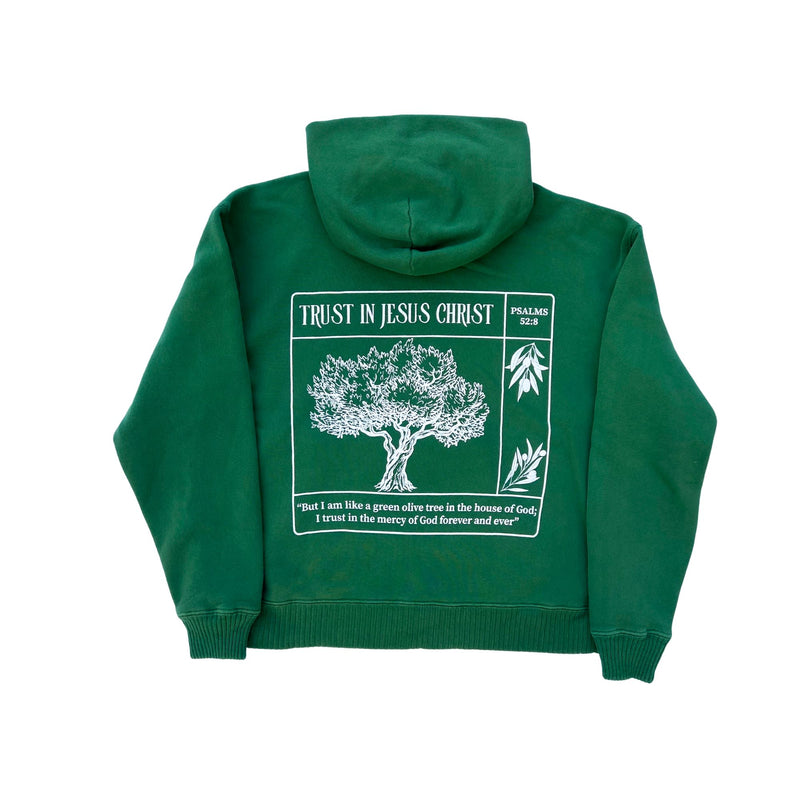 Trust in Jesus 100% Organic Cotton hoodie