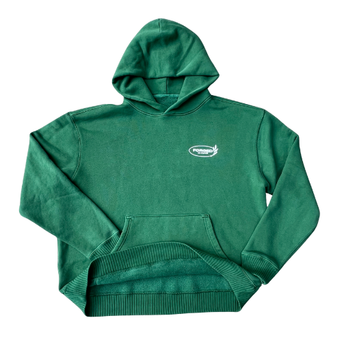 Trust in Jesus 100% Organic Cotton hoodie