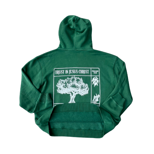 Trust in Jesus 100% Organic Cotton hoodie