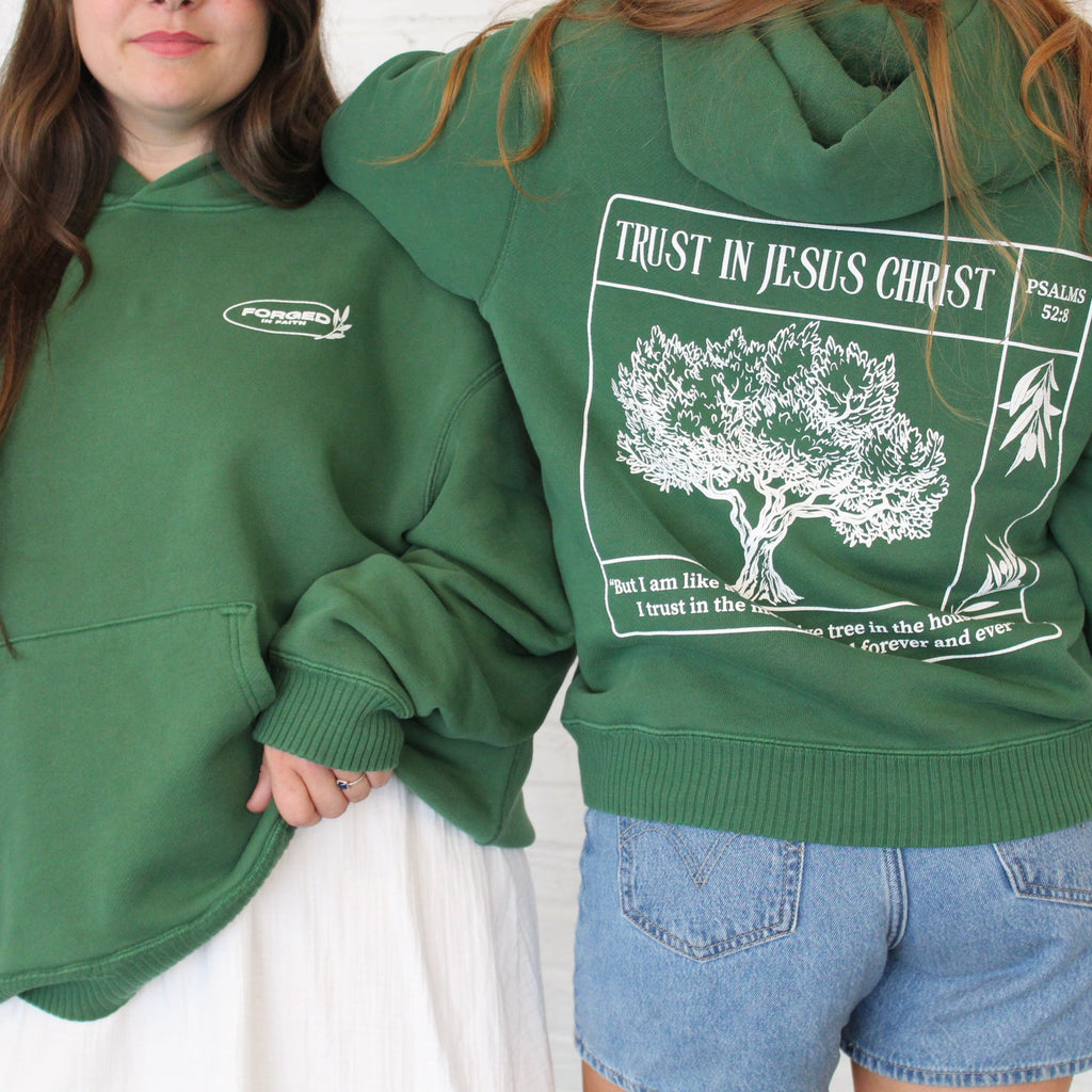 Trust in Jesus 100% Organic Cotton hoodie