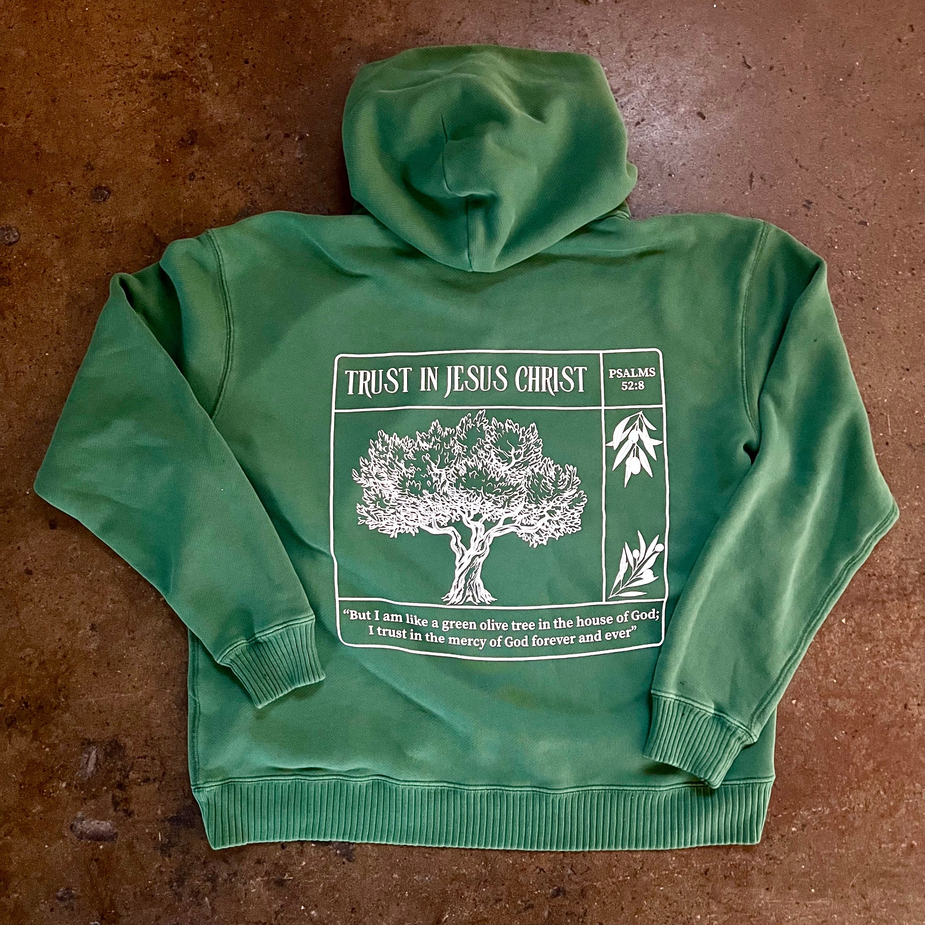 Trust in Jesus 100% Organic Cotton hoodie