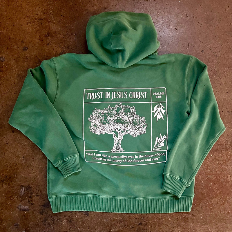 Trust in Jesus 100% Organic Cotton hoodie