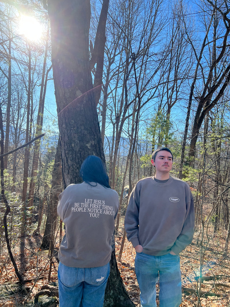 100% Organic Cotton "Let Jesus Be Seen" Sweatshirt